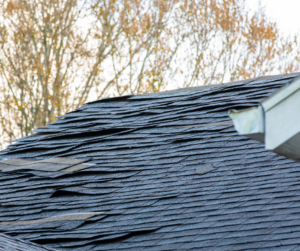 curled shingles may be reason for a roof supplement
