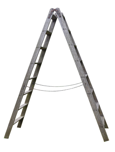 roofing ladder